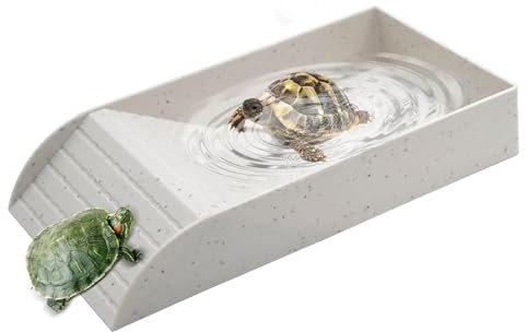 Bain de tortue, grand plat avec rampe et plateforme pour lézards amphibiens habitat