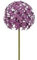 finehomegarden Gartenstecker Metall Allium lila Stecker Garten ArtFerro D16cm Blütenkugel