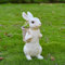 RXMORI Rabbit Planter Pot Container,Rabbit Succulent Pot,Bunny Statue Cute Animal Shape Flower Pot Courtyard Decoration Artificial Flower Vase Rabbit Statue Planter(white)