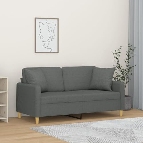 Gecheer 2 Sitzer Sofa Couch Gästesofa Schlafsofa Sofabett Bettsofa für Wohnzimmer/Wohnung/Büro mit Zierkissen Dunkelgrau 140 cm Stoff