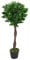 Leaf Künstlicher Lorbeerbaum, Künstlicher Buchsbaum, mit schwarzem Kunststofftopf, 90 cm