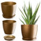 Kadax Flowerpot, fioriera con sottobicchieri, secchio di fiori rotondi per all'interno, elegante pentola di pianta di plastica, trama per fiori, piante, casa, (Ř 20 cm, oro)
