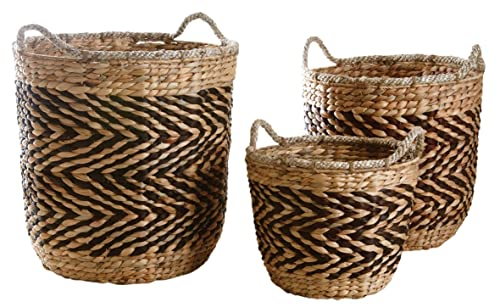 AUBRY GASPARD Cache-Pots en Jacinthe (Lot de 3)