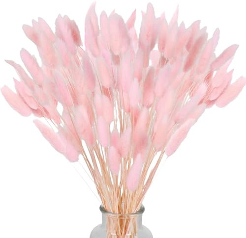 Queue de Lapin Fleur Sechee,Fleurs Séchées Naturelles Herbe de Pampa 60 Bouquet de Fleurs Séchées Roseau de Pampa Herbe pour Chambre à Coucher Intérieur la Décoration de la Maison de Mariage,Rose