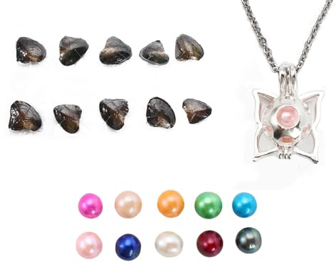 kiss me Natural Oysters With Pearl Inside, Pearl Oysters with DIY Necklace Kit locket Cage Silver Necklace pendant 18'' Gift for Daughter, sister, mom,lover (Butterfly Necklace, 10PCs/Lot,7-8MM)