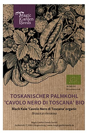 Kale lacinato, chou palmier frisé Cavolo Nero di Toscana (Brassica oleracea var. palmifolia) Bio env. 400 semences