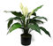 Leaf Large Artificial Stargazer Style Lily Plant,60cm