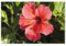 Puzzle 1000 Stück，Gardasee Italien，Klassische Puzzle 3D Puzzle DIY Kit Holz Spielzeug Einzigartiges Geschenk Wohnkultur(75x50cm