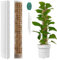 Vicloon Tuteur Plante en Plastique,2pcs Tuteur Monstera, Tuteurs Plante Grimpante, Poteaux en Mousse Transparent,Poteaux Grimpantes pour Maison Jardin de Support de Plantes