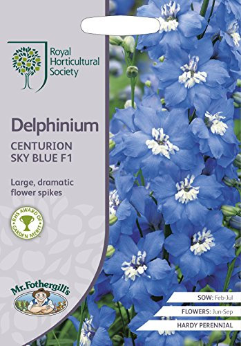 Mr Fothergills - Flower - RHS Delphinium Centurion Sky Blue F1-20 Seeds