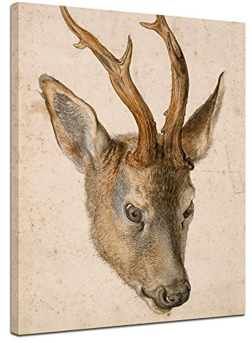 Bilderdepot24 Bild auf Leinwand | Albrecht Dürer Aquarell Kopf eines Rehbocks in 60x80 cm als Wandbild | Wand-deko Dekoration Wohnung alte Meister | NEU-180200-60x80-ker