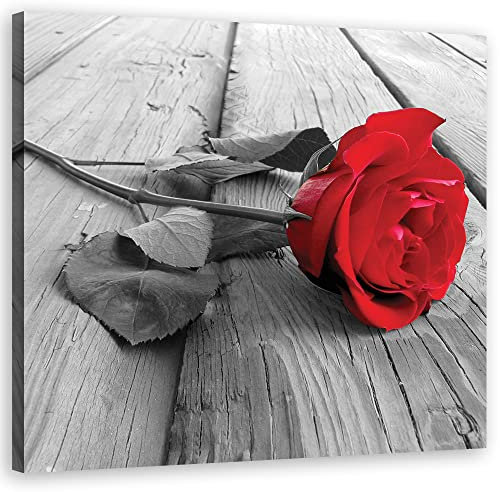 Feeby Tableau toile Rose Fleur Nature Abstraction 30x30 cm Image Photo Rustique Vintage Rétro rouge