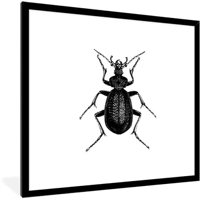 MuchoWow Poster Bilder Wanddeko Deko Wohnzimmer 40x40 cm Schwarz und weiß - Käfer - Vintage - Insekten