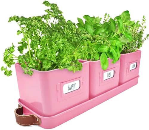 Green Thumbz Herb Pots for Kitchen Windowsill - Set of 3 Pink Herb Planter Indoor with Leather Handled Tray - Ideal for an Indoor Herb Garden, Plants and Flowers - Labels Included