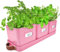Green Thumbz 3 STK. Kräutertopf - Kräutertöpfe für Deinen Kräutergarten und Fensterbank Innen Dekoration - Basilikum Topf mit Ledergriffen & Untersetzer - Küchenkräuter Topf (Rosa)