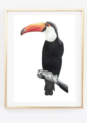 Din A4 Kunstdruck ungerahmt - Tucan Tukan Vogel Tropisch Papagei Aquarell Druck Poster Bild
