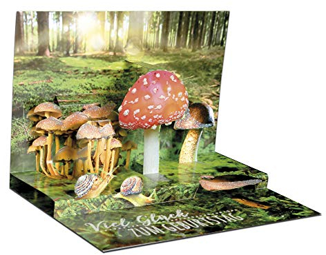 KE - 3D Pop Up Geburtstagskarte, Glückwunsch & Glitzer-Elemente, Glückspilz Wald-Motiv, DIN B6