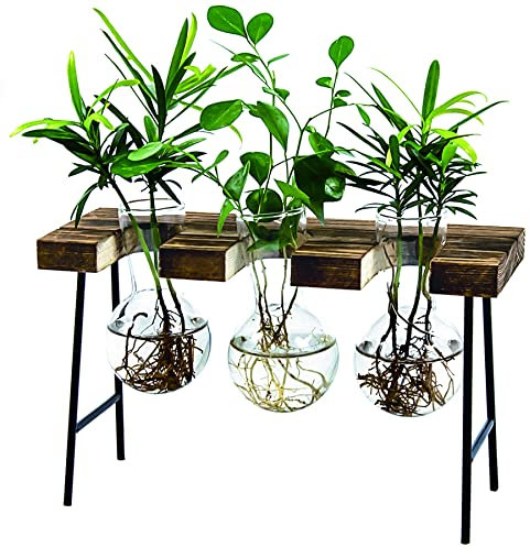 LESES Pflanzenvermehrungsstationen Desktop Air Plant Terrarium, Glas Pflanzgefäß Birne Glasvase mit Holzständer Anzuchtstation für Hydrokultur Pflanzen Home Office Garten Dekor Braun
