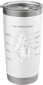 The Human Heart Anatomy Stainless Steel Insulated Tumbler