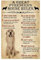 Pyrenäen House Rules Männer Frauen Geschenk Dekor Poster Wandkunst Dekor Metallschild Poster 20,3 x 30,5 cm