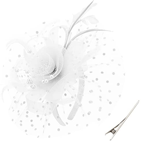 DRESHOW Fascinator Hüte für Damen Pillbox Hut mit Schleier Stirnband und Einer Gegabelten Clip Tea Party Kopfbedeckung