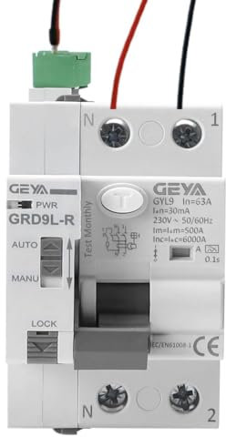 Différentiel super immunisé réarmable SI 2P 63 A 30 mA 6 Ka Type A. Interrupteur différentiel auto-réarmable super immunisé disjoncteur réarmement automatique rail DIN.