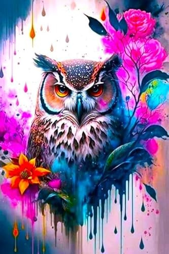 Picmondoo Diamond Painting - 50x75cm - Eulenkunst