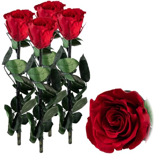 St. Leonhard Konservierte Rose: 4er-Set Rosen für die Ewigkeit rot mit Stiel, 3-5 Jahre haltbar (Infinity-Rose zum Valentinstag, Flower)