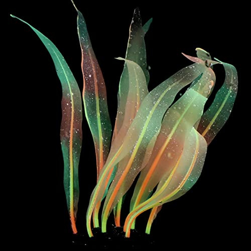 CAZSTYK Aquarium-Tang-Dekoration, Silikon, Algen, Aquarien, Ornamente, realistisch, bunt, Wasserpflanze, 17,8 cm hoch, leicht zu reinigen, Silikon, Seetang, Seetang, Dekoration, realistische Aquarien