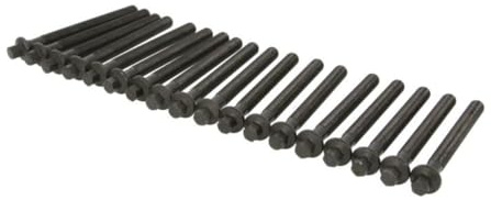 VICTOR REINZ Bolt Kit, cylinder head 14-10569-01