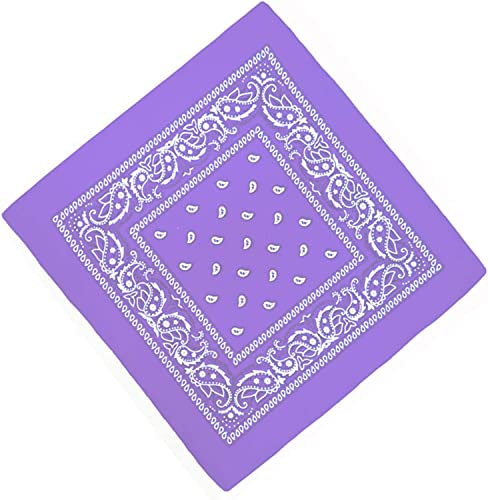 Unbekannt Bandana Kopftuch Halstuch Nickituch Biker Tuch Motorad Tuch verschied. Farben Paisley Muster, Lila, ...