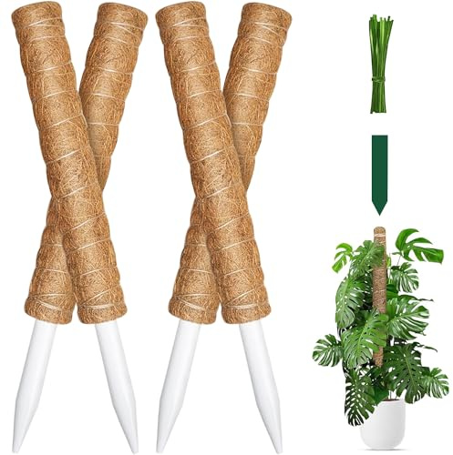 YSSY spread Moosstange für Kletterpflanzen, Monstera-Pflanzenstütze für Zimmerpflanzen, Monstera-Pflanzenstütze für Topfpflanzen, mit Gartenbändern, 160 cm, 4 Stück