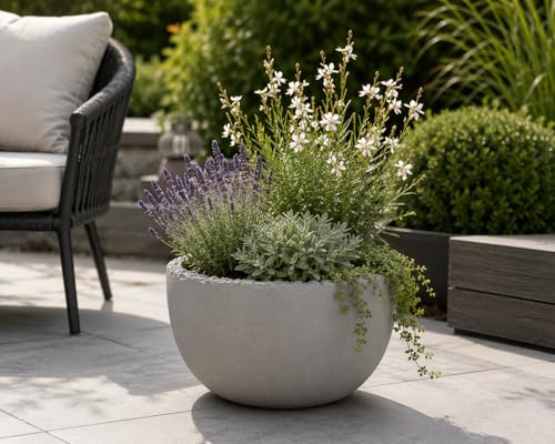Beton Pflanzschale Rund Pflanzgefäß Blumenschale Pflanzkübel Betonschale Garten Terrasse (31cm)