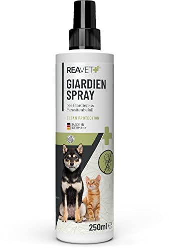 ReaVET Giardien Spray 250ml - Speziell für Hund & Katze, Konzentriertes Desinfektionsmittel Desinfektion Spray für Oberflächen und Umgebung bei gegen Giardien, Hygiene Spray