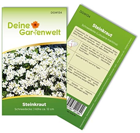 Steinkraut Duftsteinrich Schneedecke Samen - Lobularia maritima - Steinkrautsamen - Blumensamen - Saatgut für 250 Pflanzen