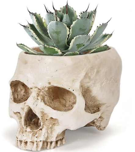 Sinromrich Maceta de calavera para plantas, maceta realista de cabeza de calavera humana, decoración gótica de Halloween, maceta de resina para suculentas, bonsái, cactus, bar en casa, escritorio