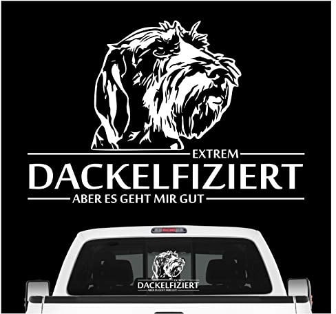 siviwonder Auto Aufkleber Rauhaardackel Infiziert Hundeaufkleber autoaufkleber Hund Folie Hundemotiv (weiß, 25x15cm)