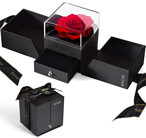 iteaauk Ewige Rose Geschenkbox Schöne und das Biest Ewige Rose im Schmuckschatulle Konservierte Blumen Rosenbox für Frauen zum Valentinstag Muttertag Geburtstag Jahrestag Geschenk für Sie