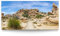 BilderKing Wandbild Wüste Joshua Tree - 180cm x 90cm Leinwand auf 4cm Keilrahmen