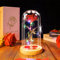 Ptesuply La Bella e la Bestia, lampada a forma di rosa nella cupola di vetro, fiore artificiale con luce LED, regalo per donne e ragazze, per compleanno, San Valentino, festa della mamma, Natale,