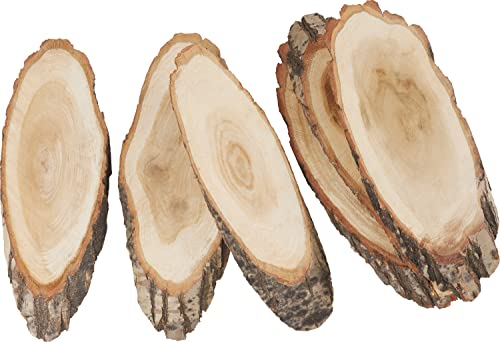 VBS Pack de 6 rondelles d'arbre Ovale 30x12cm rondelles d'écorce matériau naturel rondelles de bois