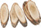 VBS Pack de 6 rondelles d'arbre Ovale 30x12cm rondelles d'écorce matériau naturel rondelles de bois