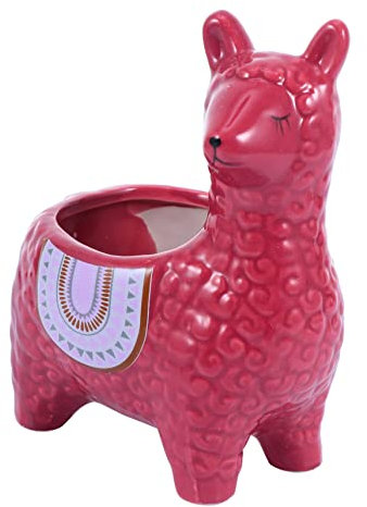 OFFSCH Cartoon Blumentopf Aus Keramik Sukkulenten Pflanztopf Mit Abflussloch Tischdeko Büro Wohnzimmer Geschenk