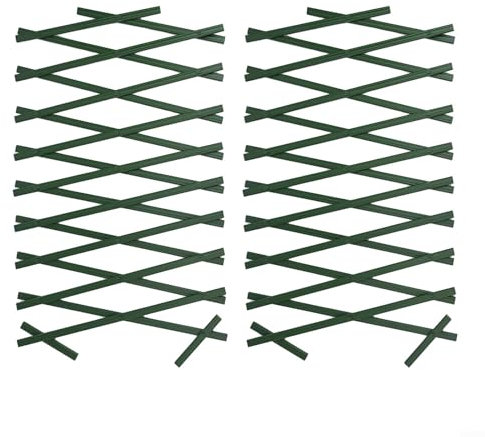 RichVibe Treillis de jardin pour plantes grimpantes, treillis mural extensible vert pour soutenir les clématites, les vignes, les rosiers grimpants (2 pièces)