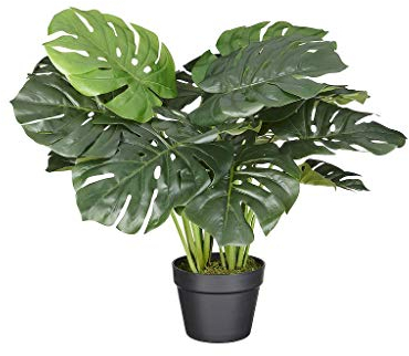 HTT Decorations - Künstliche Monstera - Hochwertige Kunstpflanzen - 60 cm hoch, Untertopf mit 16 cm Durchmesser