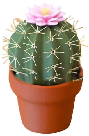 Taza de condimentos con forma de cactus y escritorio con agitadores suculentos florecientes TQk929 (verde, 6,3 x 6,3 x 10 cm)