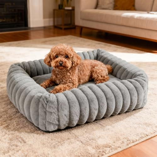 Leikurvo Hundebett Mittelgroße Hunde orthopädisch, 63x53x18 Hundebett Waschbares Hundekorb mit hohem Rand, Rechteckig, Cord Fleece, Rutschfestes Hundekörbchen Hunde bettchen Hundesofa, Grau
