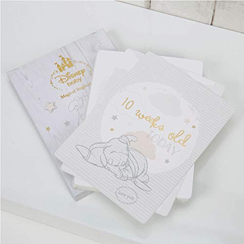 Disney Baby Dumbo 24 Keepsake Photo Prop Cards for Babies Every New Step & Change