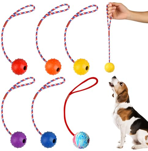 Hundeball mit Schnur, 6 Stück Ball am Seil Naturkautschuk, Hundespielzeug Ball, Wurfball Hund, Ball für Hunde, Bälle Spielzeug am Seil für Hunde, Ideal für Große & Kleine Hunde (5 cm)