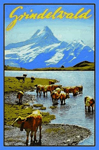 Schatzmix GrindelWald Kühe Metallschild Wanddeko 20x30 cm tin Sign Blechschild, Blech, Mehrfarbig